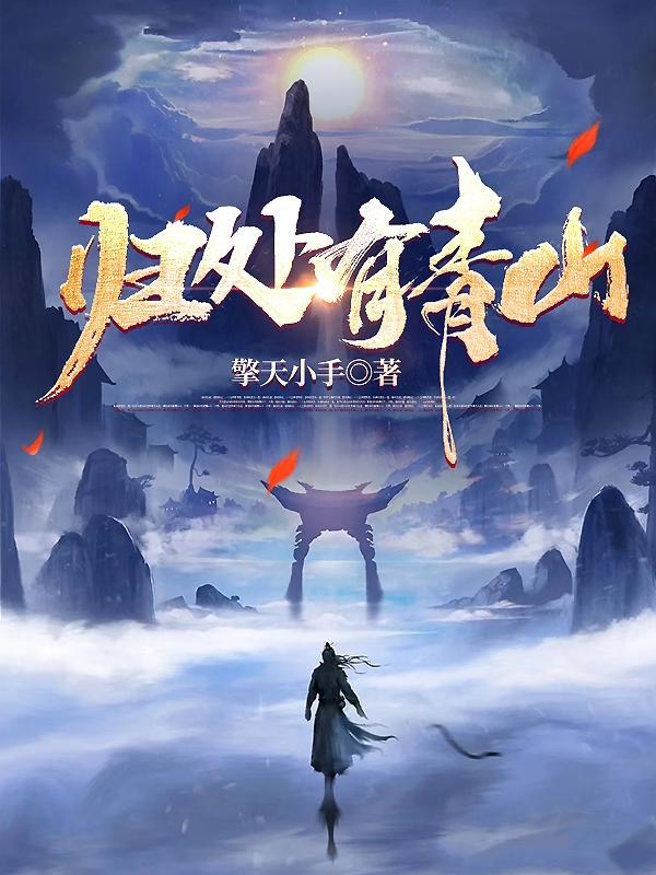 青山少年境界划分大全
